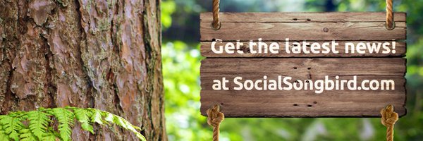SocialSongbird_ Profile Banner