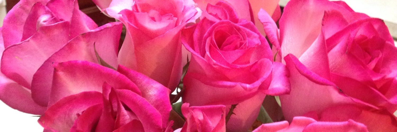 DeborahMoak's profile banner image