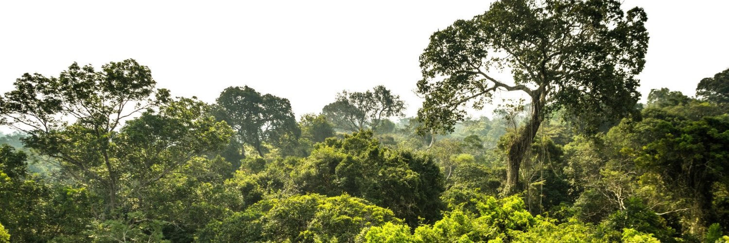 johndoyle2012's profile banner image