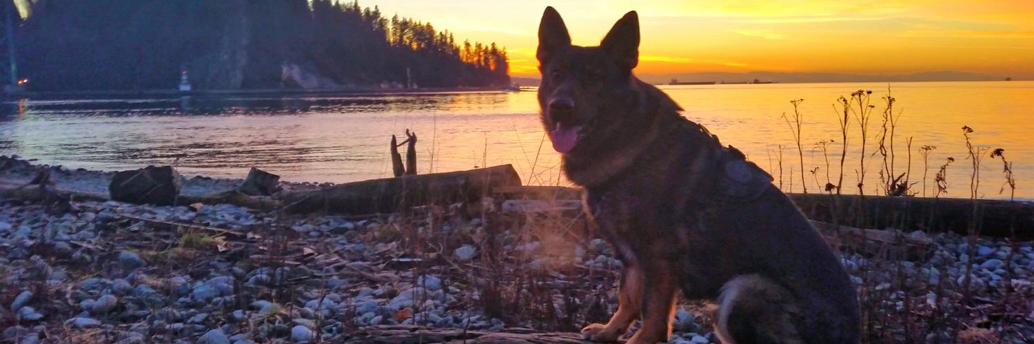 PoliceDogJake's profile banner image