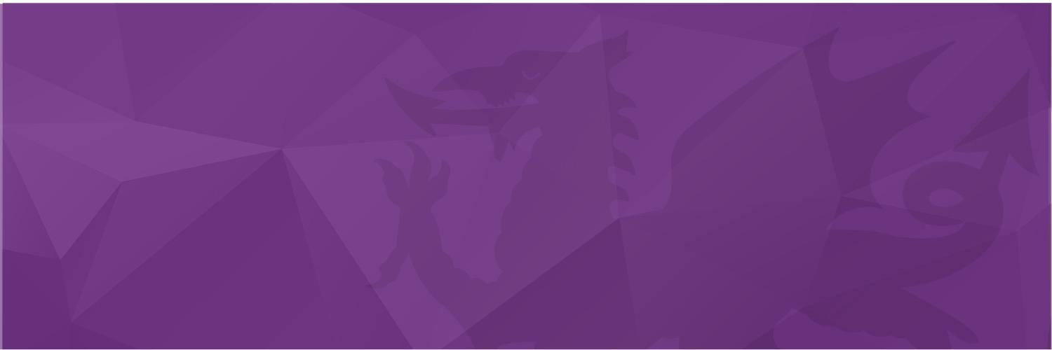 UKIPNewport_'s profile banner image