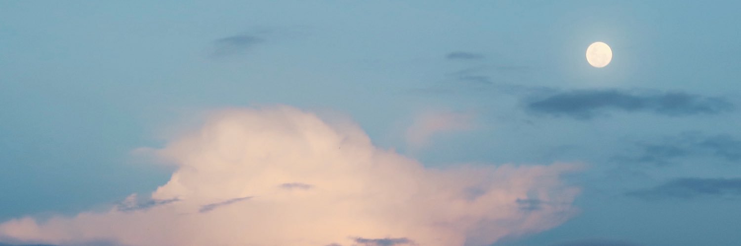 lydialton's profile banner image