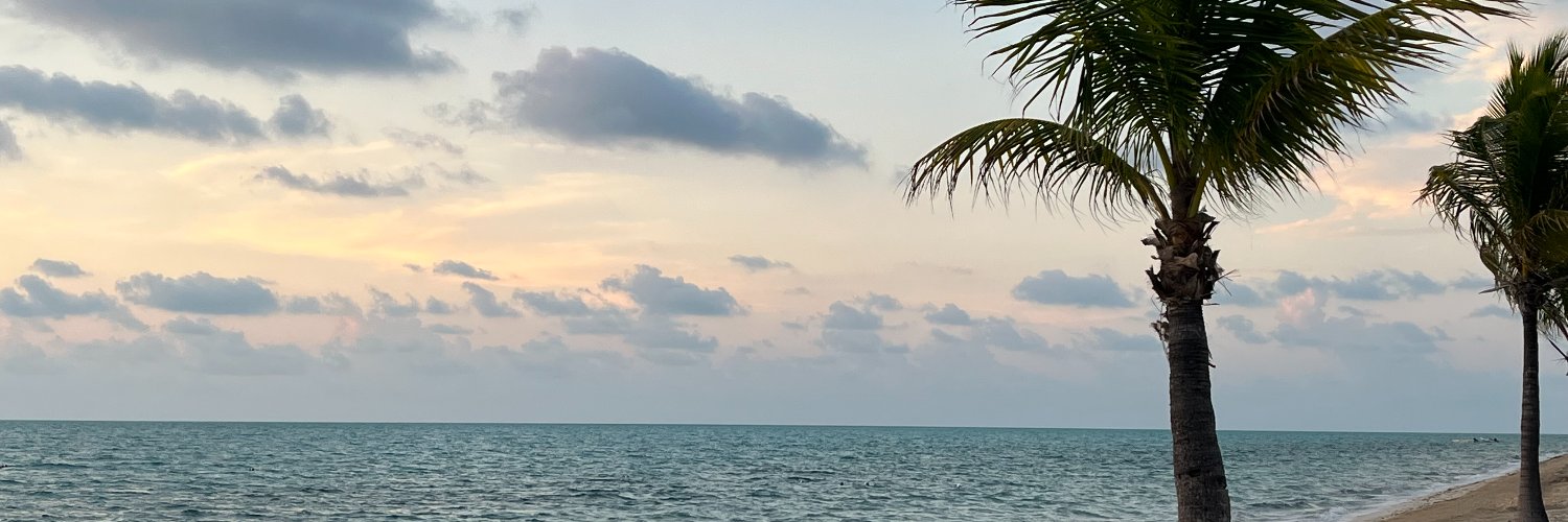 Nikki Scarpitti banner