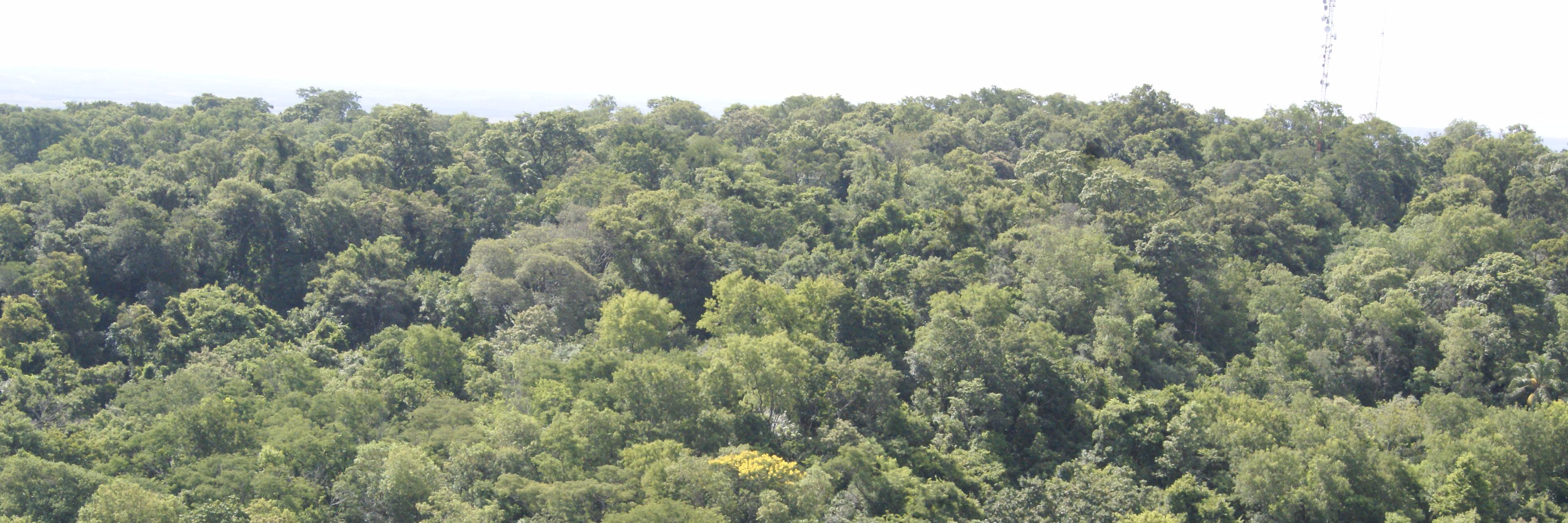 PiMiguez's profile banner image