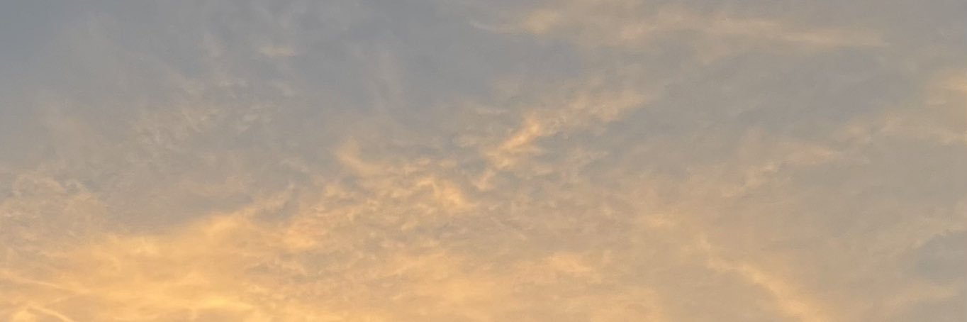 0xArmyy's profile banner image