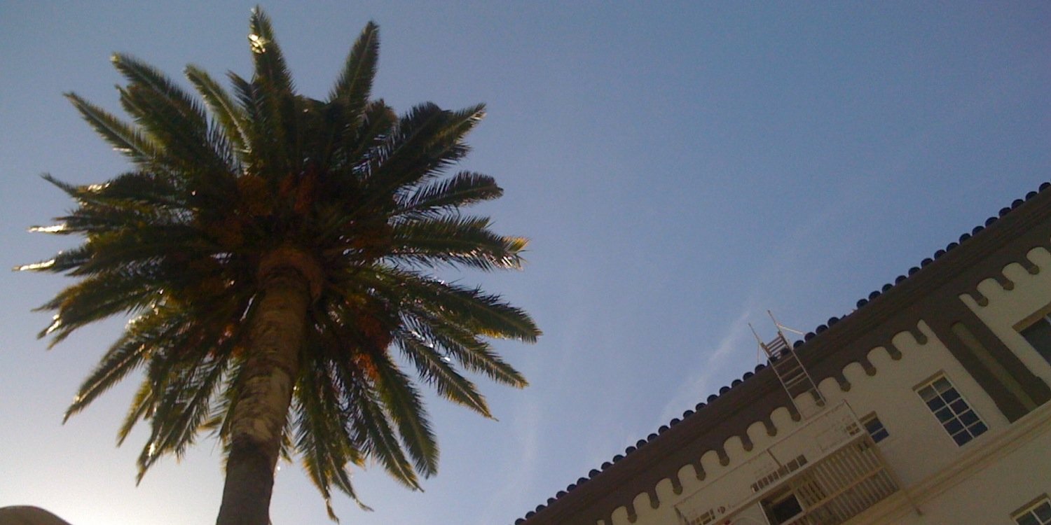 Cameron Ali Fay banner