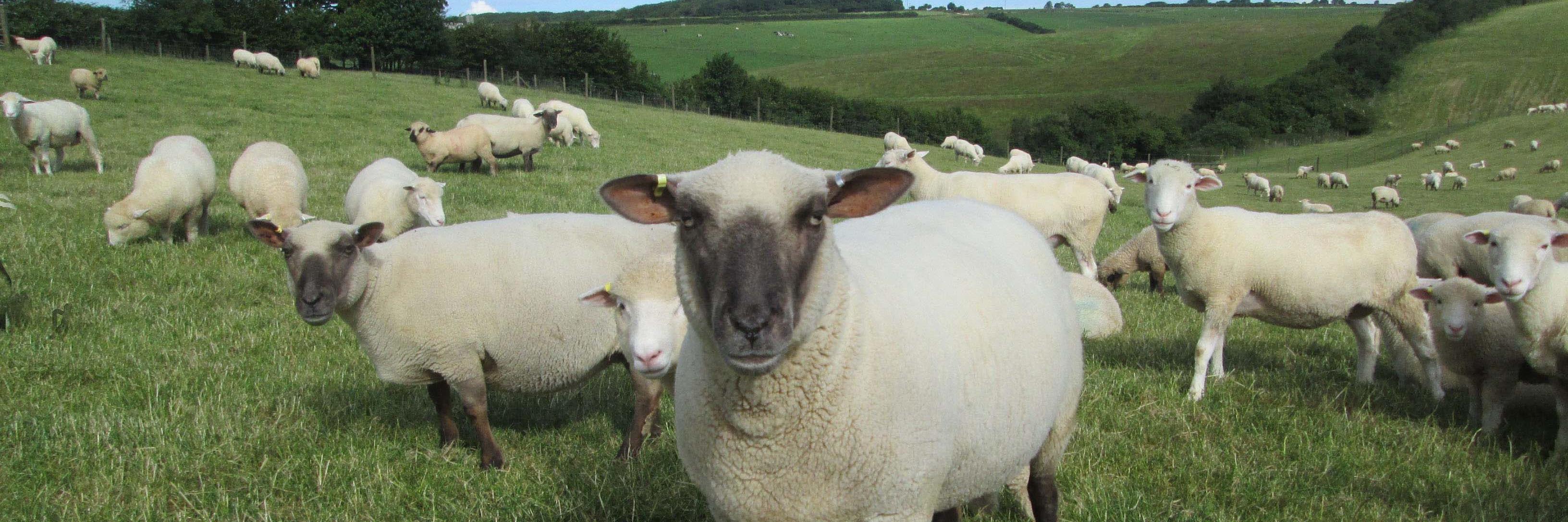 Discover Farming banner