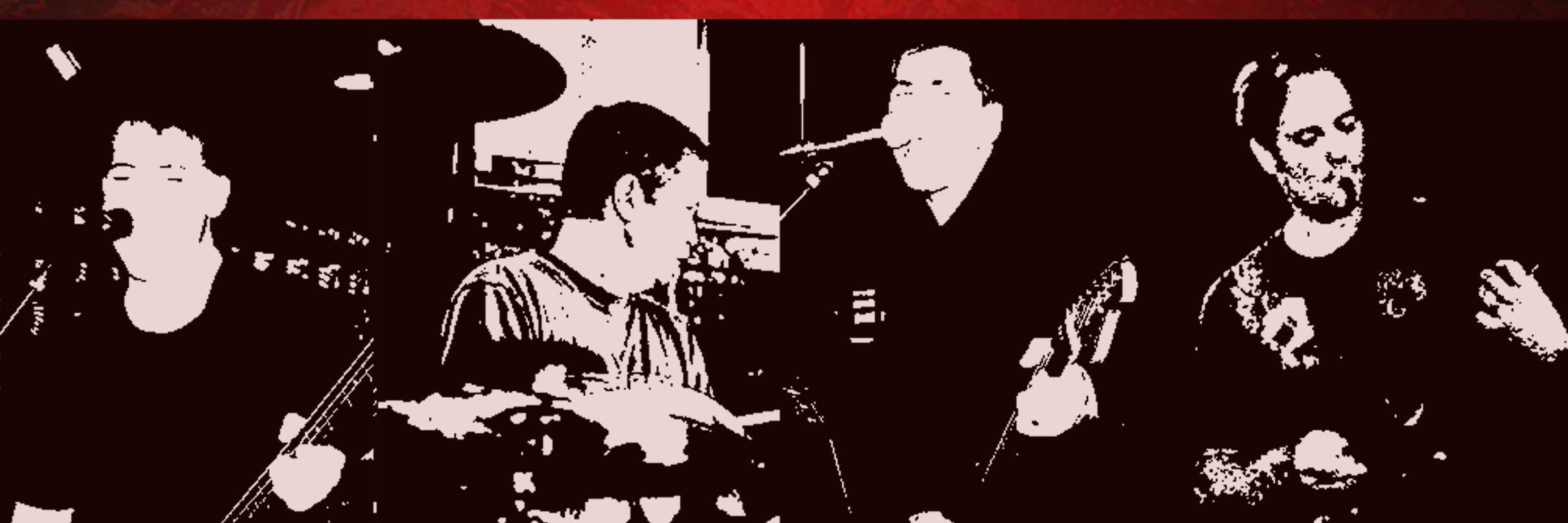tortugastone's profile banner image