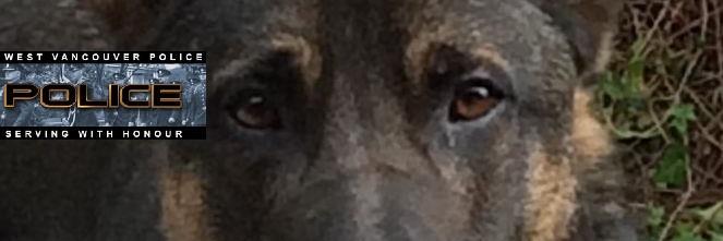 PoliceDogKoa's profile banner image