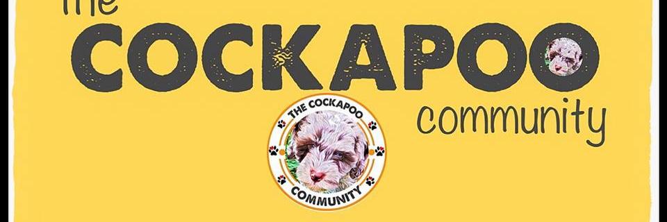 Cockapoo Community banner