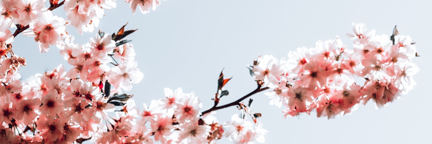 OliverKPalm's profile banner image