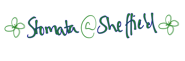 StomataSheff Profile Banner