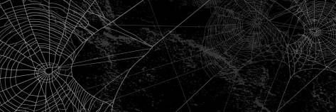 オーロラ • Aurora banner