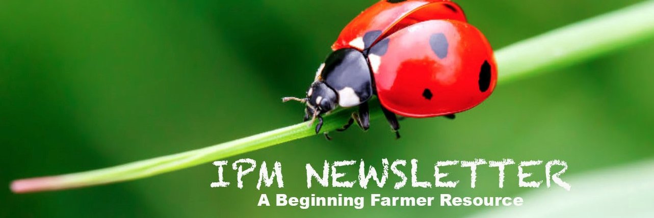 AlabamaIPM's profile banner image