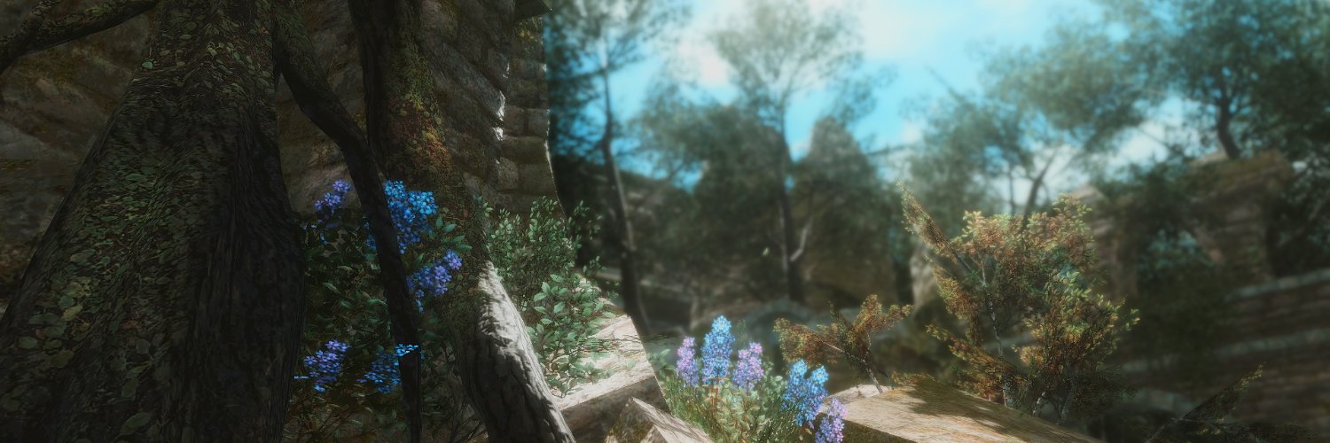 dollichii's profile banner image
