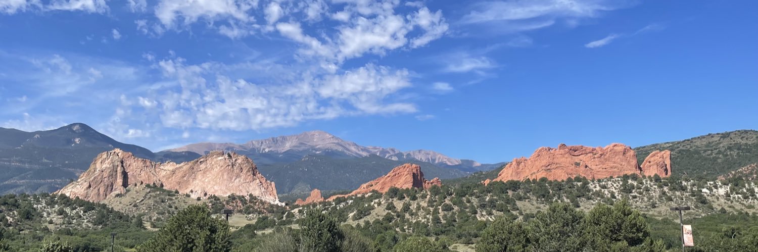 nickel cattle do banner