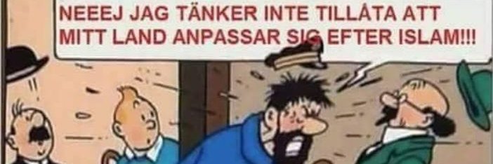 SDSTEFFE banner