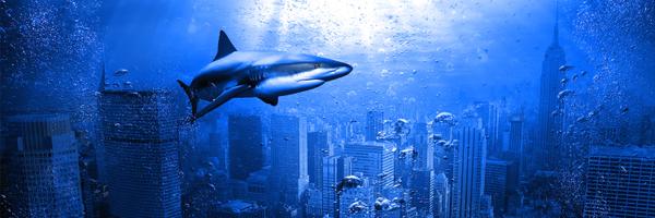 Belin_Patrick Profile Banner