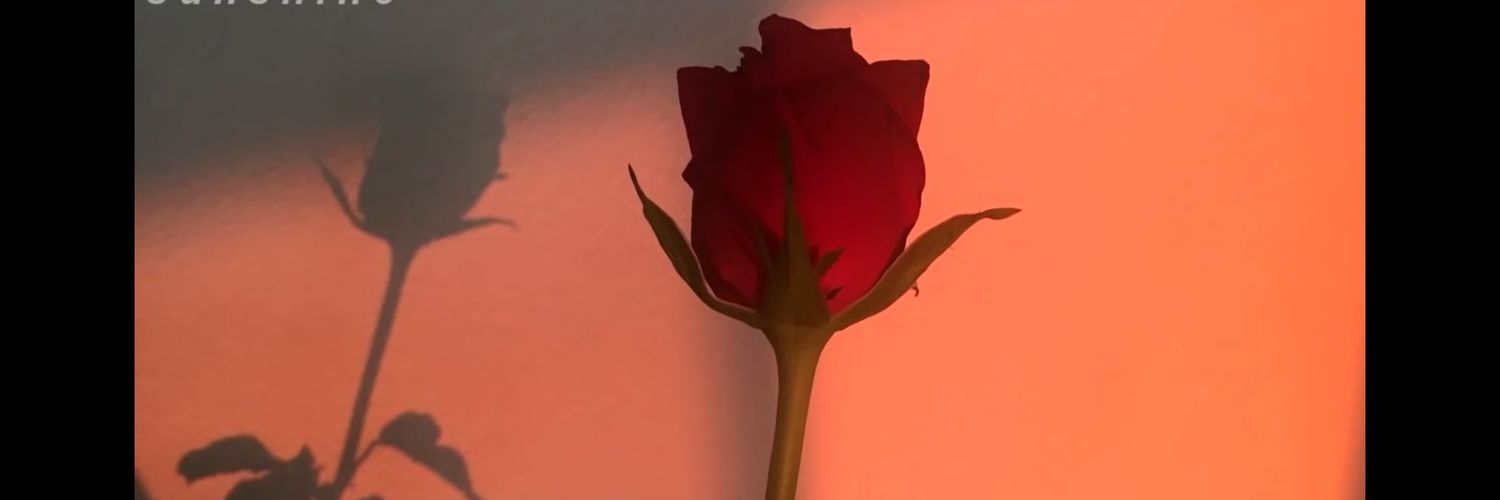 __aadrrii__'s profile banner image