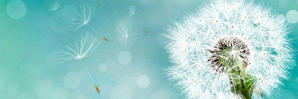 Affecttherapy's profile banner image