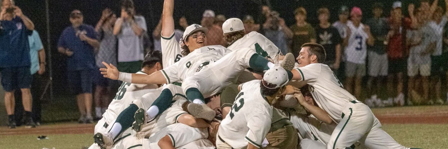 Delbarton Baseball's banner