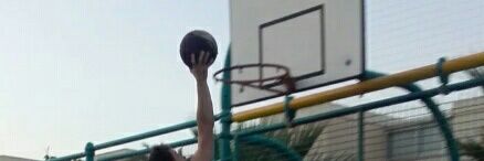 ledizzz11's profile banner image