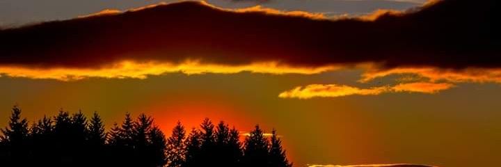 malen_desviada's profile banner image