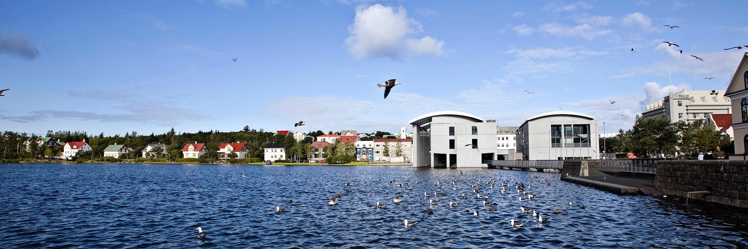 Bláa öndin 𝕏 banner