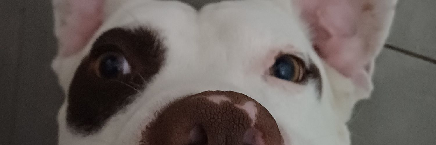 cherryofthemoon's profile banner image