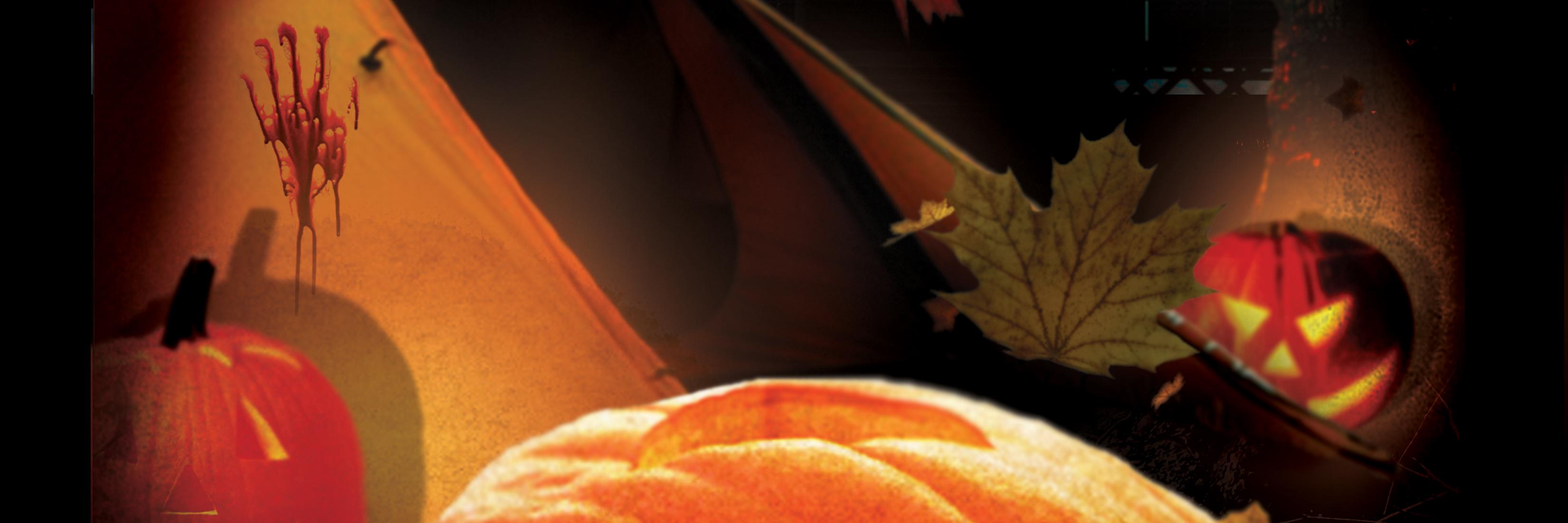 Pitching_tent's profile banner image
