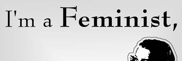 Feministeqality's profile banner image