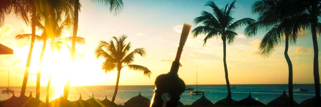robertzambrano_'s profile banner image