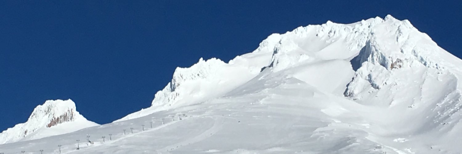 BeePower's profile banner image