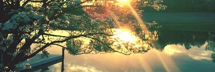 mhollender's profile banner image