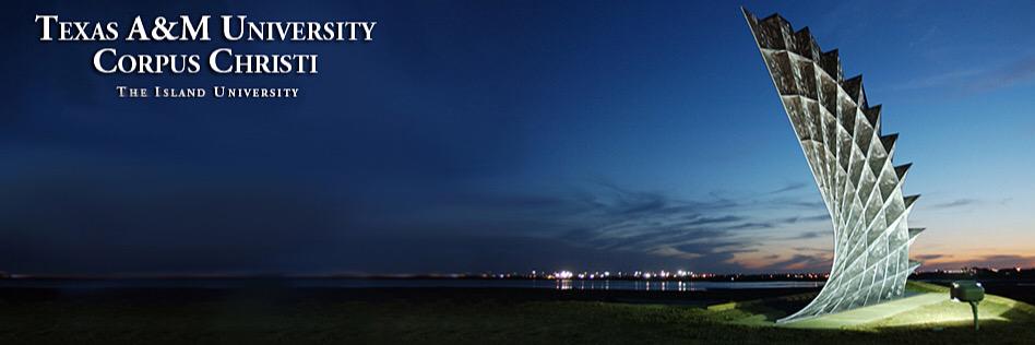 TamuccPsychClub's profile banner image