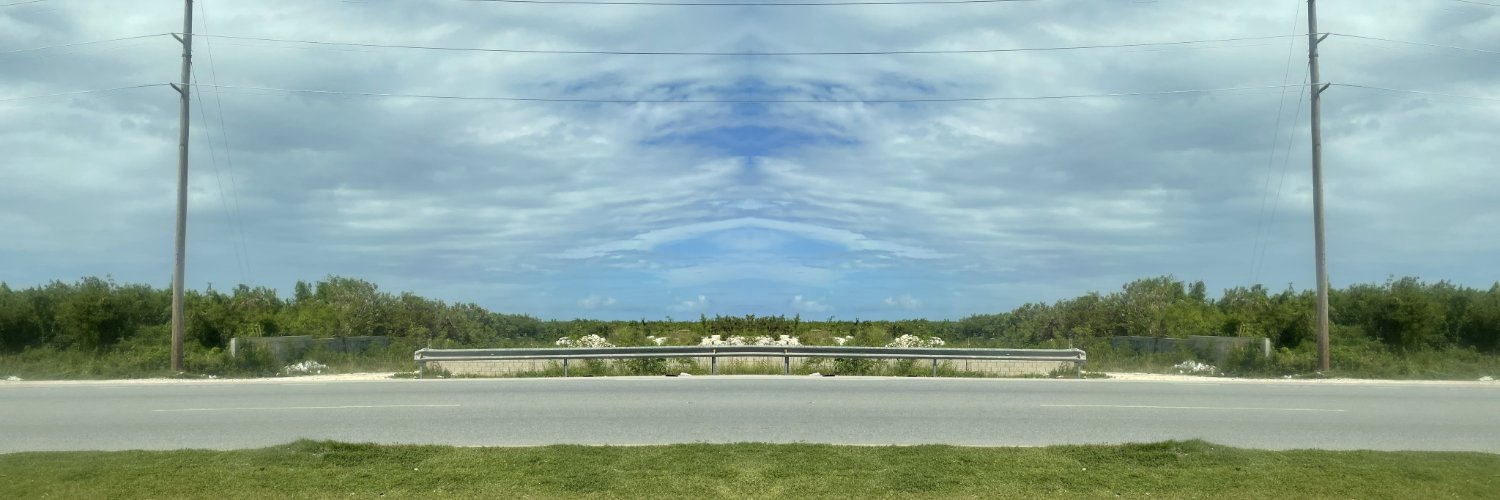 DragonicalLisa's profile banner image
