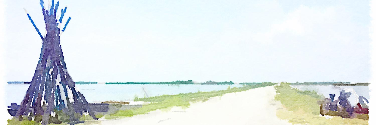 Pinco Pallino banner