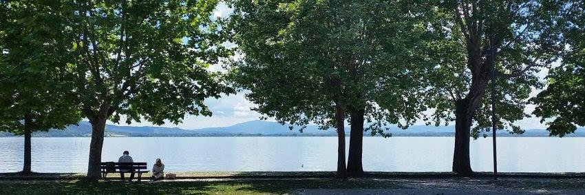 trasimenoland's profile banner image