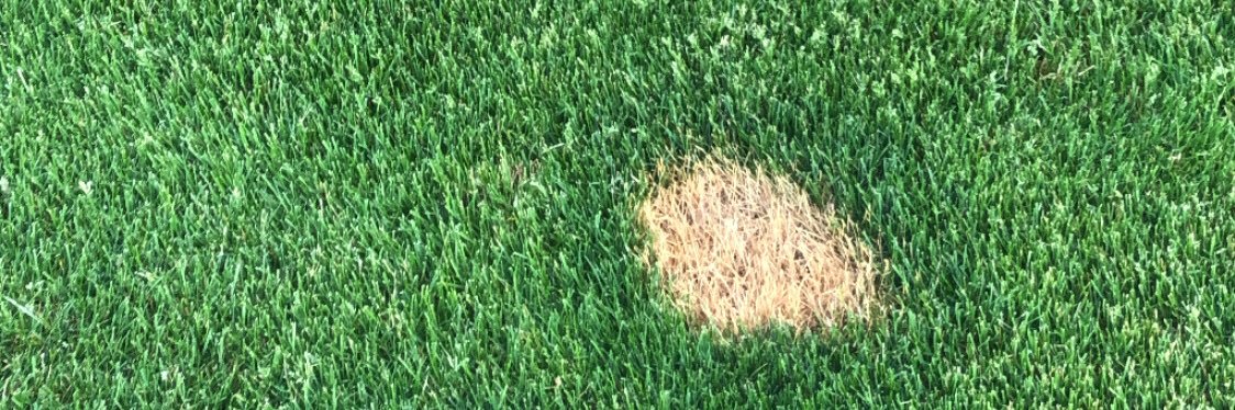 Brian McMullen banner