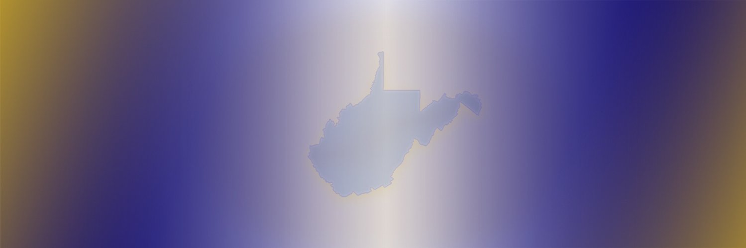WVAFF's profile banner image