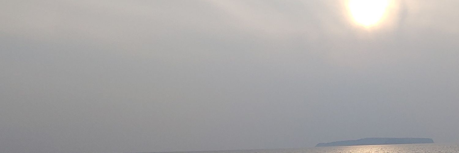 ShinNichirin's profile banner image