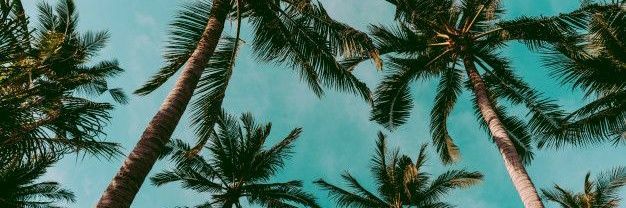 _raquelrauber's profile banner image