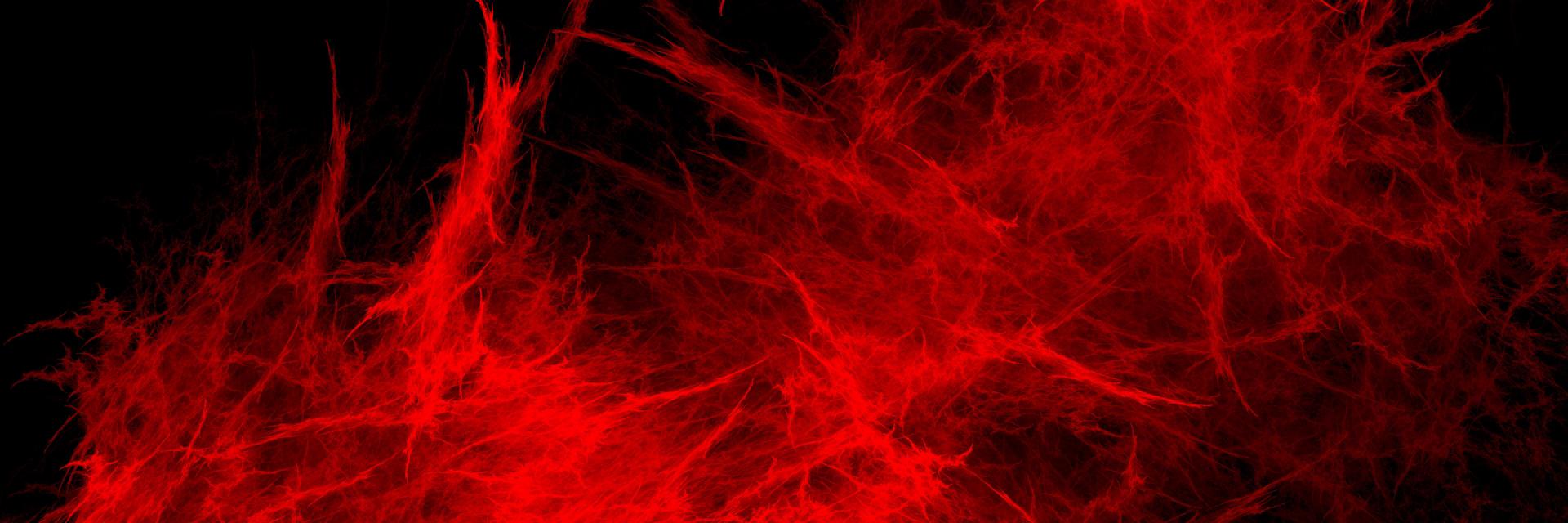 redfeloni's profile banner image