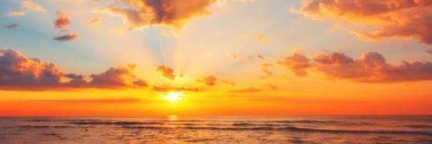 chenny_ca's profile banner image