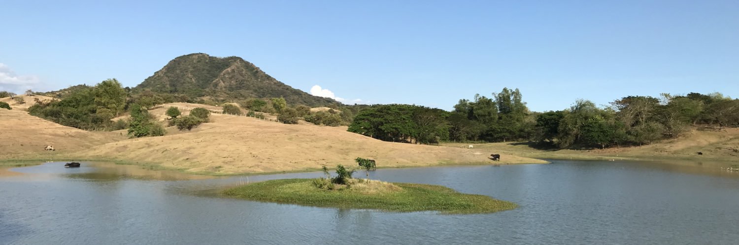 xelaparanas's profile banner image
