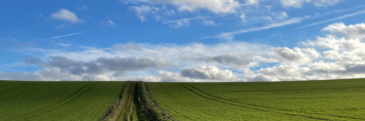 MarketingPratt's profile banner image