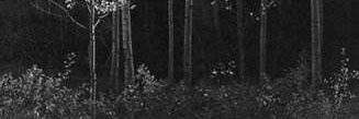 HimalMc's profile banner image