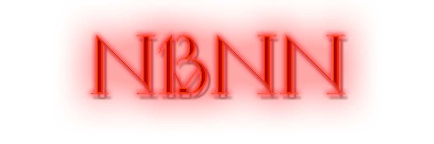 NBNN banner