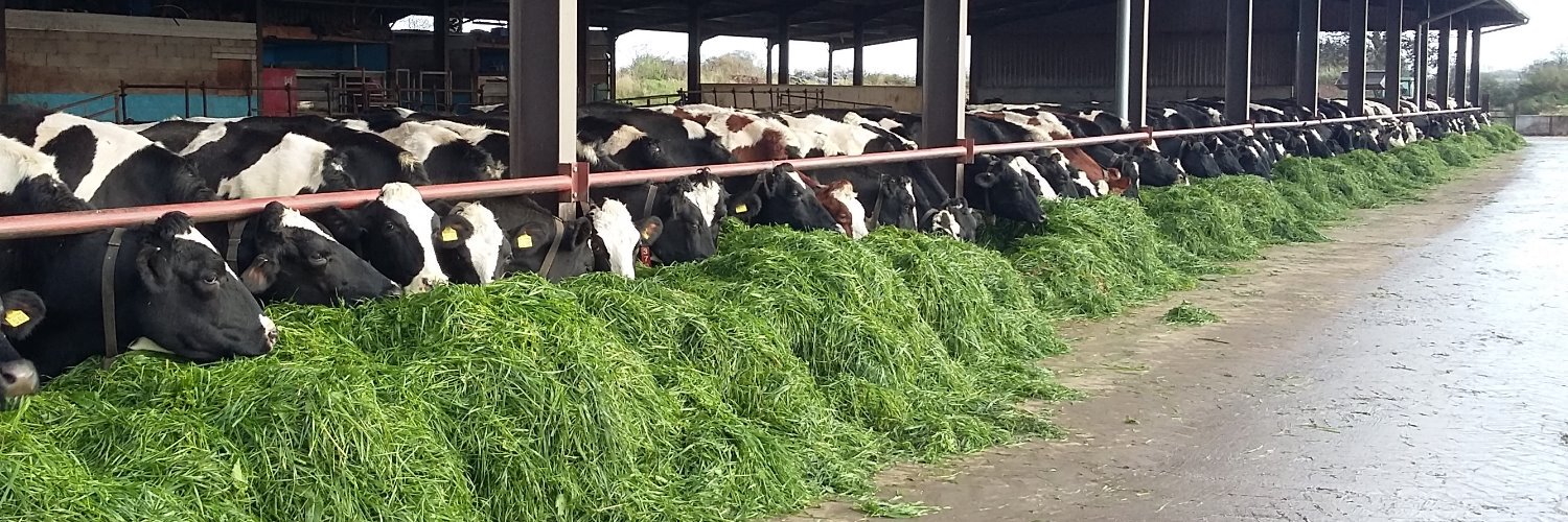 hill010415's profile banner image