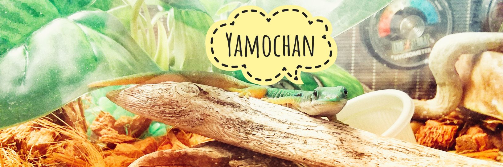 macroclemystem5's profile banner image